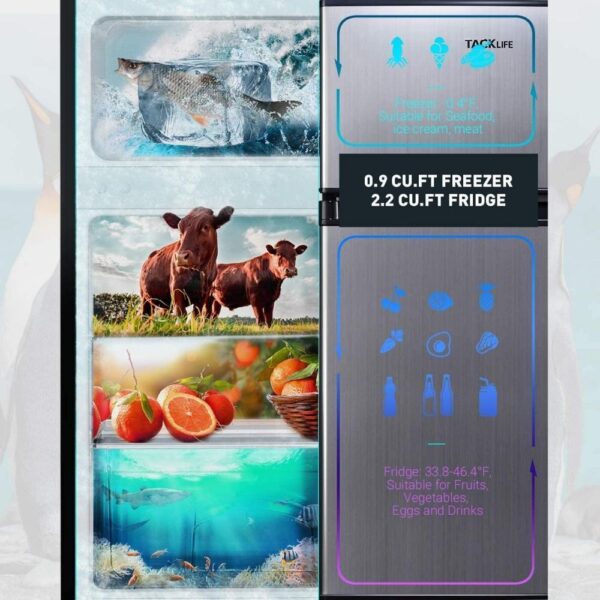 Mini Fridge with Freezer, 3.1 Cu.Ft Small Refrigerator, Compact Refrigerator with LED Light - Image 5