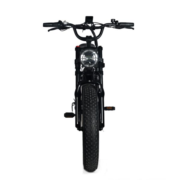Electric Mountain Bike for Adults | 20 x 4.0 Fat Tires, 1000W Motor, 48V 20Ah Removable Battery, Max Speed 45MPH, Shi Mano 7-Speed for Off-Road Adventures - Image 8