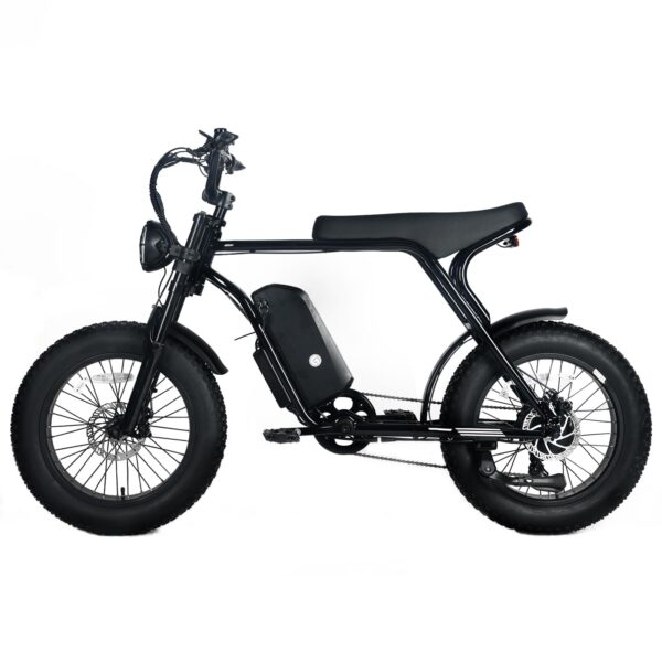 Electric Mountain Bike for Adults | 20 x 4.0 Fat Tires, 1000W Motor, 48V 20Ah Removable Battery, Max Speed 45MPH, Shi Mano 7-Speed for Off-Road Adventures - Image 10