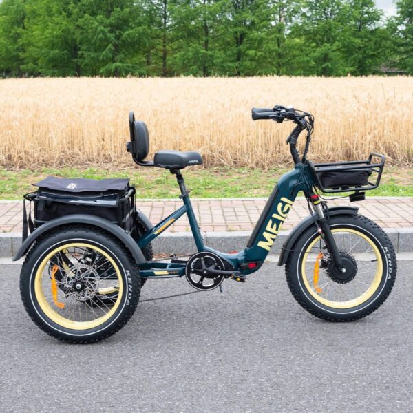 DWMEIGI MG2301 SILVERADO 20 48V/14AH 750W Foldable Fat Tire Electric Trike, 330LBS (96817362) - Image 44
