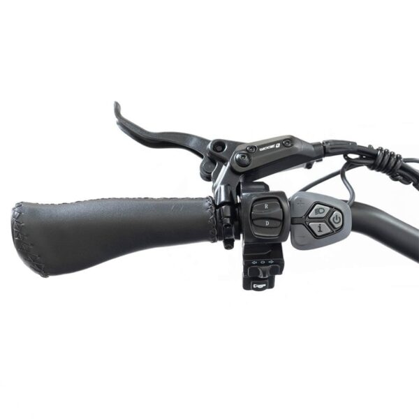 DWMEIGI MG2301 SILVERADO 20 48V/14AH 750W Foldable Fat Tire Electric Trike, 330LBS (96817362) - Image 45