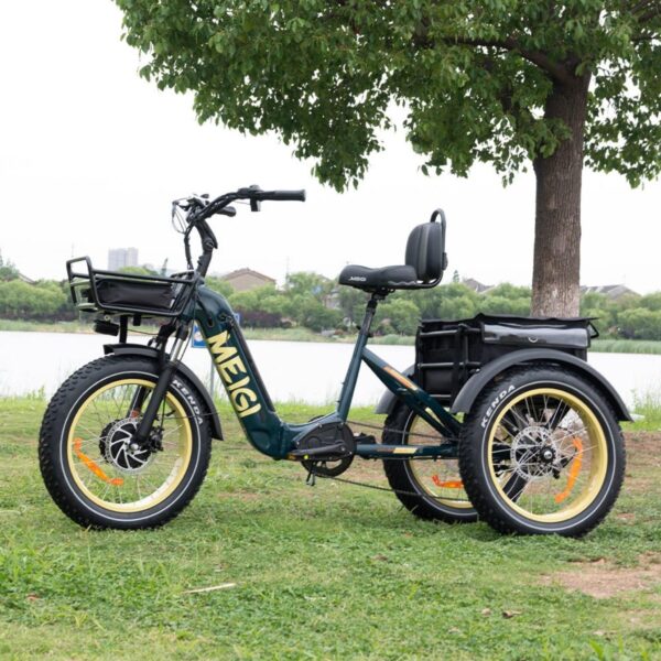DWMEIGI MG2301 SILVERADO 20 48V/14AH 750W Foldable Fat Tire Electric Trike, 330LBS (96817362) - Image 57